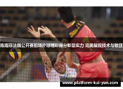 陈雨菲法国公开赛前场扑球精彩得分彰显实力 完美展现技术与敏捷