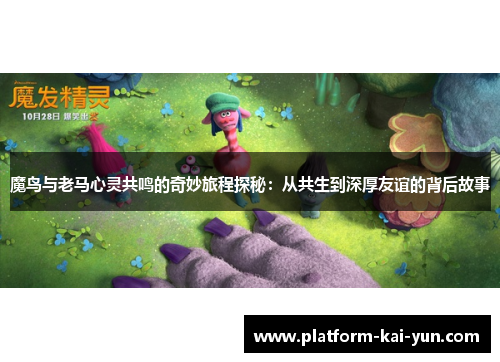 魔鸟与老马心灵共鸣的奇妙旅程探秘:从共生到深厚友谊的背后故事 魔鸟与老马心灵共鸣的奇妙旅程探秘:从共生到深厚友谊的背后故事